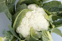 Cauliflower_Kurdivex_CA_0012