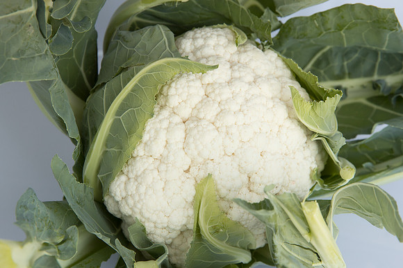 Cauliflower_Kurdivex_CA_0012
