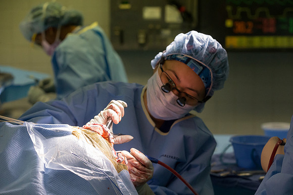 SLU_Neurosurgery_Feb2016_375