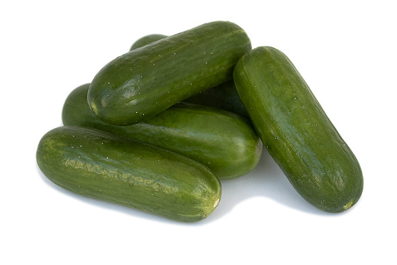 Cucumber_DR7109CB_31