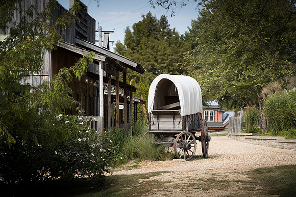 CedarCreek_cdp_0133