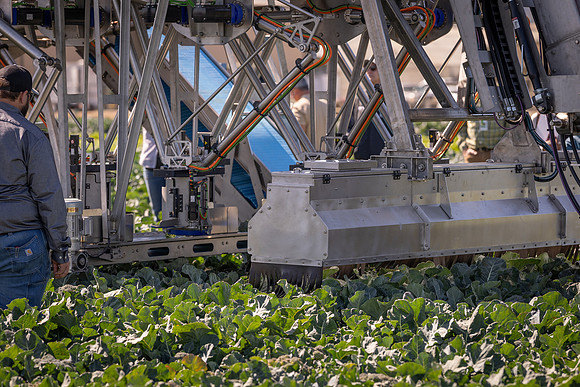 CytheHarvester_SJB_FieldDay2025_87