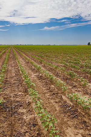 ThryvOn_2022_TurnageFarms_cdp_98