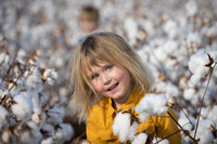 RRXCottonTexas_cdp_2496
