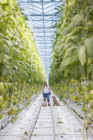 DeRuiter2024_ON_RidgeFarms_215