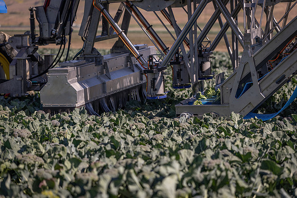 CytheHarvester_SJB_FieldDay2025_8