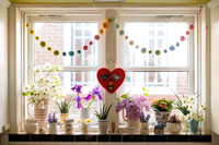 LindaSolovicHome_April2022_87