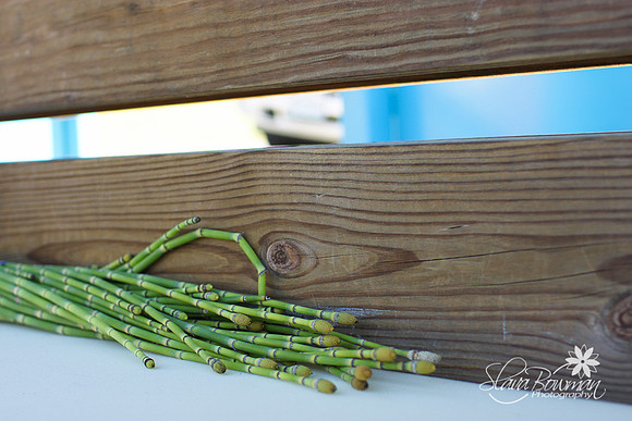 Riverfront Trail Day-113