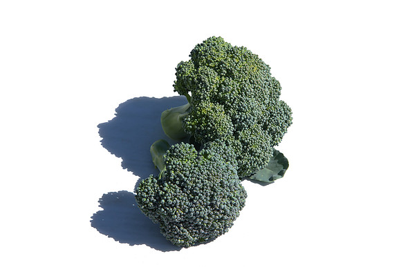 Broccoli_CastleDome_CA_0024