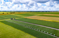 BASF_Nemasphere_Iowa2024_4379-Pano