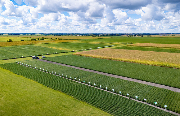 BASF_Nemasphere_Iowa2024_4379-Pano