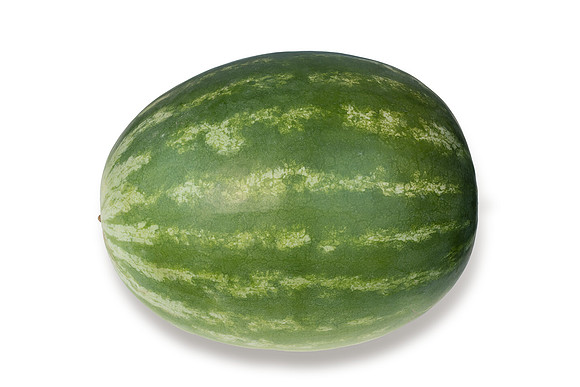Watermelon_SVWA6179_CA_16