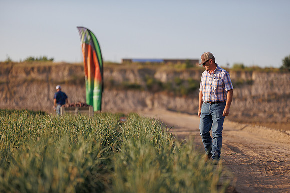 Seminis2022_Idaho_1633
