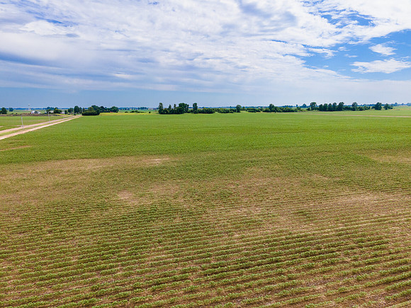 ThryvOn_2022_TurnageFarms_cdp_116