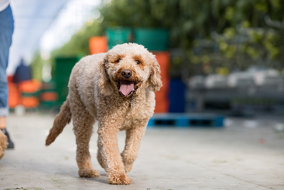 DeRuiter2024_ON_RidgeFarms_534