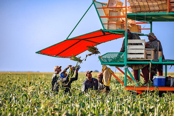 Seminis2022_FL_JEM_1042-2