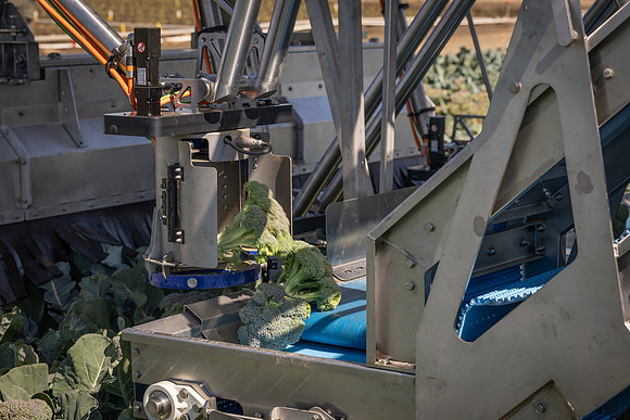 CytheHarvester_SJB_FieldDay2025_364
