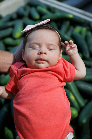 Seminis2022_FL_BabyKirkland_44