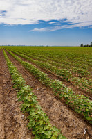 ThryvOn_2022_TurnageFarms_cdp_89