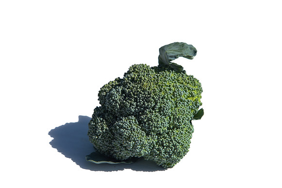 Broccoli_CastleDome_CA_0014