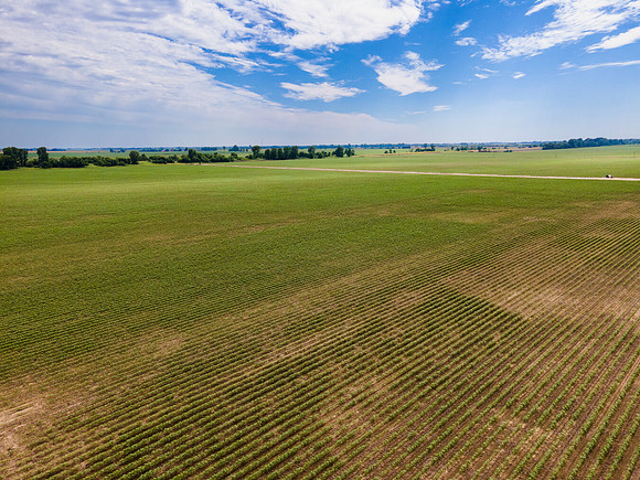 ThryvOn_2022_TurnageFarms_cdp_125