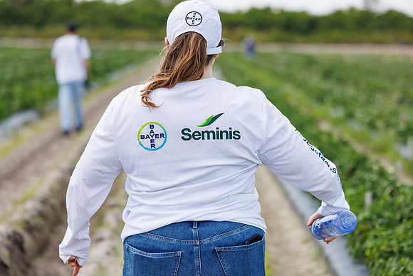 Seminis2024_FL_Felda_438
