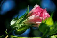 ThryvOn_2022_ScottLC_cdp_285