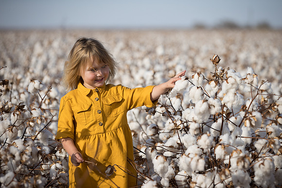 RRXCottonTexas_cdp_2454