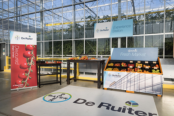 DeRuiter2024_ON_RidgeFarms_33