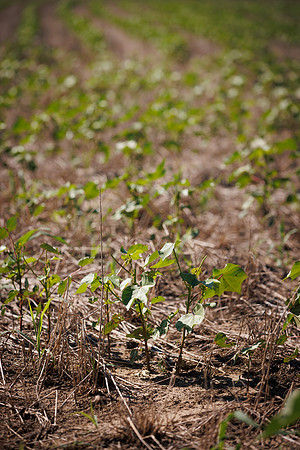 ThryvOn_2022_GriggsFarms_cdp_82