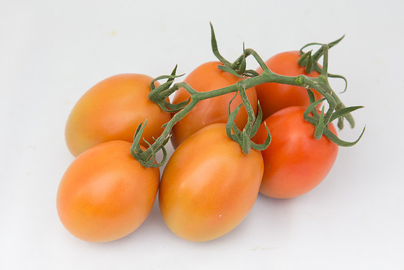 Tomato_4179_MX_Group_0014