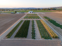 Seminis2022_Idaho_12