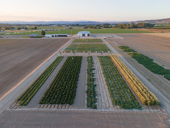 Seminis2022_Idaho_12