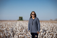 RRXCottonTexas_cdp_2306