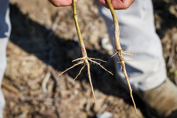 ThryvOn_2022_TurnageFarms_cdp_155