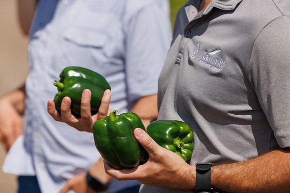 Seminis2024_FL_Chastain_134
