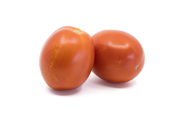 Tomato_N6416_2