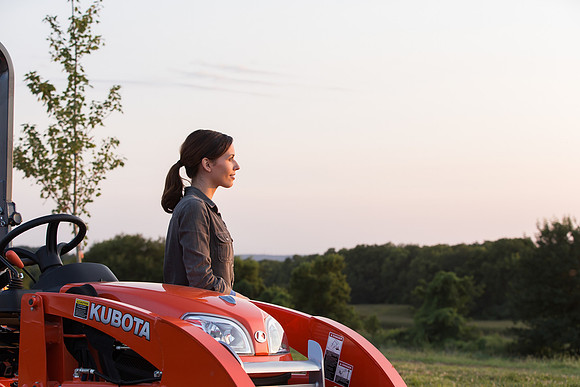 Kubota_BX25D_CDP2015_1843