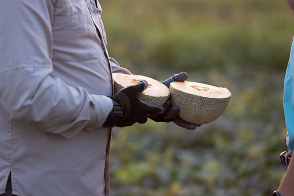 Seminis2021_AZ_242