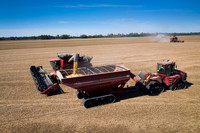 NL_Soybean_Harvest_2019_d_32