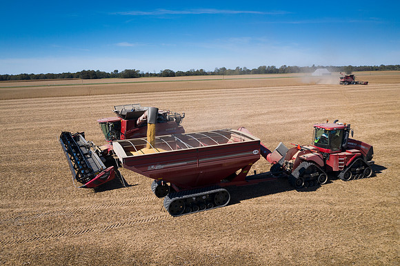 NL_Soybean_Harvest_2019_d_32