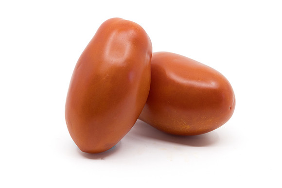 Tomato_N6485_8