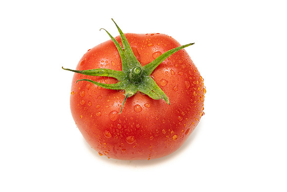 Tomatoes_DRTH1053_101