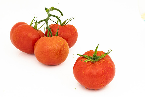 Tomatoes_DRTH1053_73