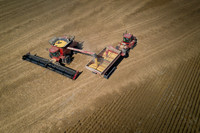 NL_Soybean_Harvest_2019_d_25