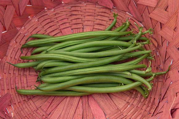 GreenBean_Giolli_MX_0049