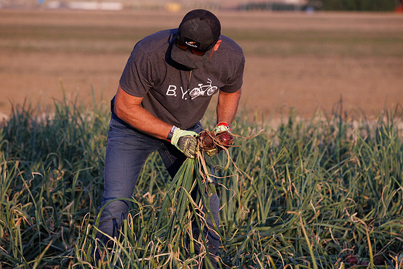 Seminis2022_Idaho_1210