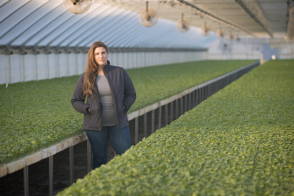 Seminis2022_FowlerPlant_4918