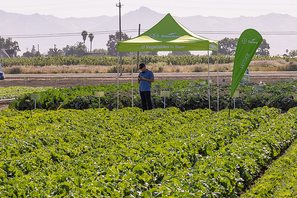 Seminis_SJB_FieldDay2025_1087