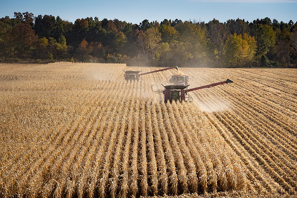 NL_Corn_Harvest_2019_c_404